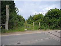 TL3968 : Level crossing, Longstanton, Cambs by Rodney Burton