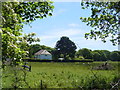 Looking across the field to Five Oaks