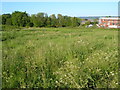 Vacant land near Ottery St Mary