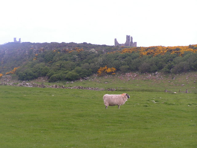 The Heugh, with Dunstanburgh Castle behind