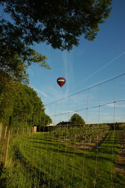 Balloon over SU7531 and the orchard in this grid.