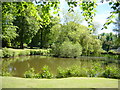 Pond at Inglewood House