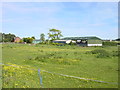 Mill Farm from Mill Lane, Ness