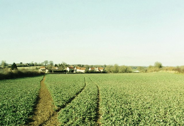 Field of crop and new housing at Rode, Wiltshire