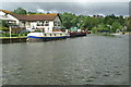 River Avon, above Kelston Lock