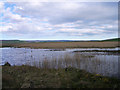 View from the RSPB hide