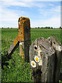 Marker and Fence Posts