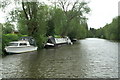 River Avon below Broad Mead