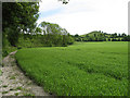 Footpath and Beacon Hill