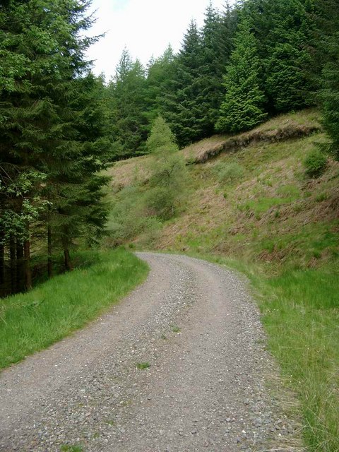 Forestry track to Leathan Dhail