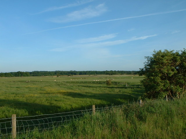 Grazing land near Castle Rising, Norfolk.