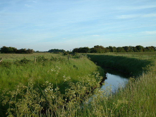 Drainage on the marshes.