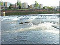 Weir on River Nith