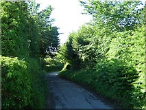 SJ2952 : Road along Offa's Dyke by LB