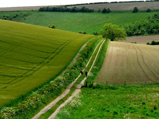 Walkers on The Wolds Way