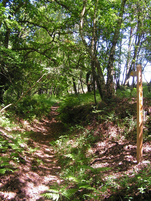 Footpath into the Woods