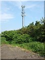 Telecoms mast, Leighton Road