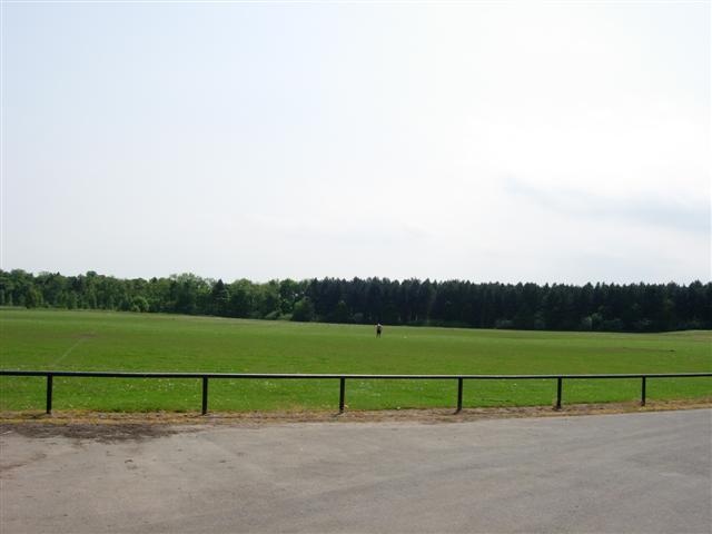 Public playing fields