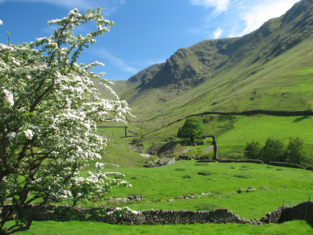 Pasture Bottom.