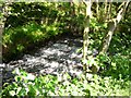 Cascade on the Black Brook, Barkisland