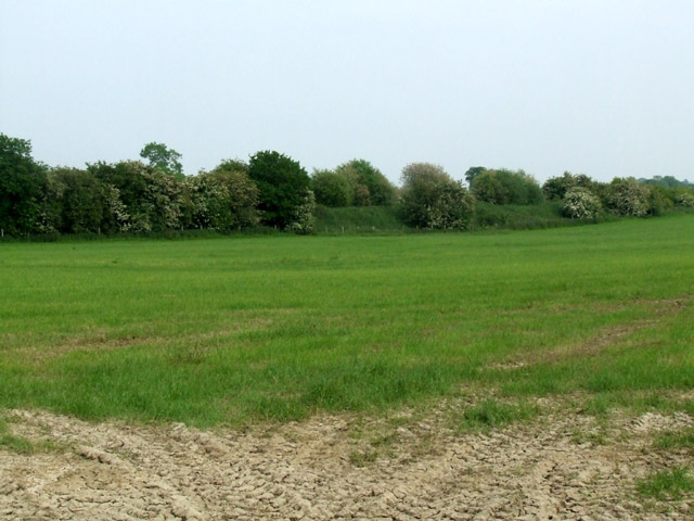 Old railway embankment in a field