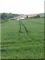 Wheat field in village of Wheatfield