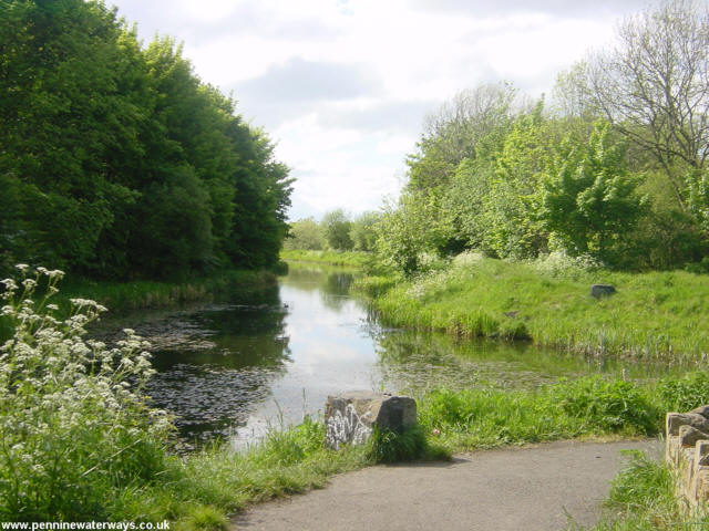 The Barnsley Canal near Barnsley