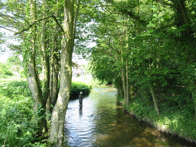 Fly Fishing in Pickering Beck