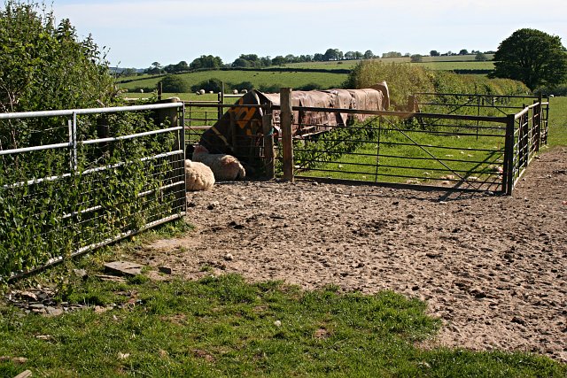 Sheep Pasture and Pen