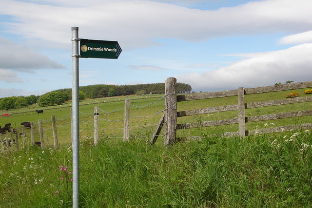 Footpath to Drimmie woods near Hill of St Fink
