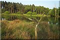 Lake near former Colliery Site