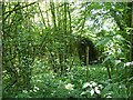 Nissen hut in Endings Wood