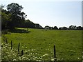 Pasture north of Sparks Wood