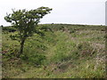 Climbing Godolphin Hill