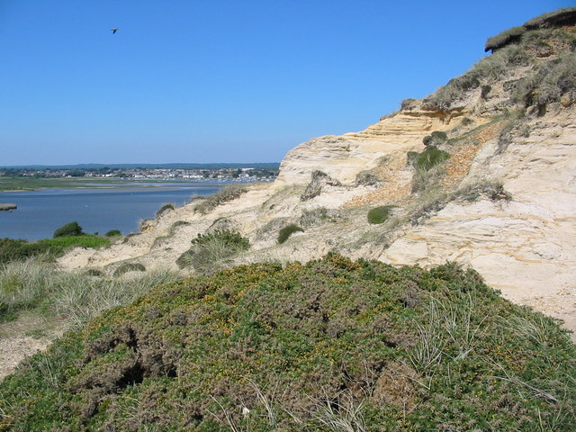 Sandy cliff at Hengistbury Head Dorset