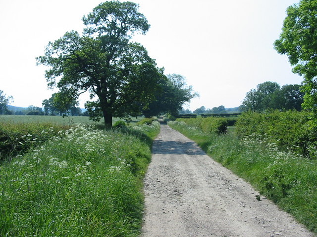 Track that forms part of the Ripon Rowel Walk