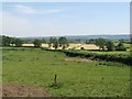 Pasture and hedgerows off A361