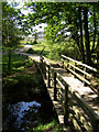 Footbridge over Dockens Water, New Forest