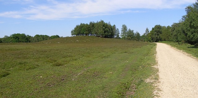 Black Barrow New Forest © Jim Champion Geograph Britain And Ireland 3082