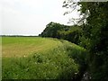 Between Long Marston & Rufforth