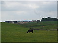 Rural housing on site of a farm, Westertown near Forth