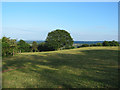 Pasture on Bickerton Hill