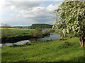 River Forth