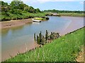 Looking up the creek towards Wolsey Bridge