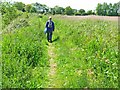 The path to the Hen Reedbeds