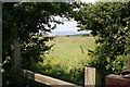 Llanrhidian Higher Community: footpath at Cilonen Road