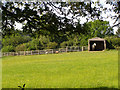 Horse in a house behind Gorley Vale Farm, New Forest