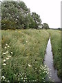 Stream headed for the Severn Estuary