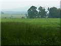 Farmland, Coldoch