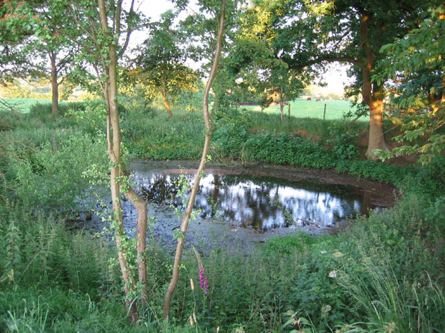 Circular pond by South Cheshire Way